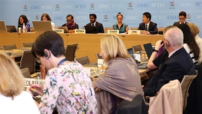 WTO bo na zahtevo Kitajske pregledala davčne dobropise ZDA v okviru zakona o ...
